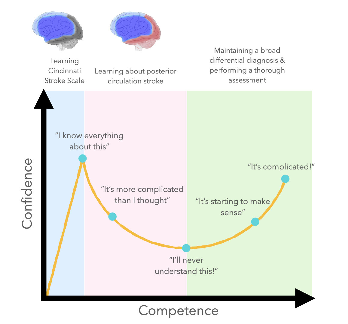 Figure:  The Dunning-Kruger curve for stroke assessment